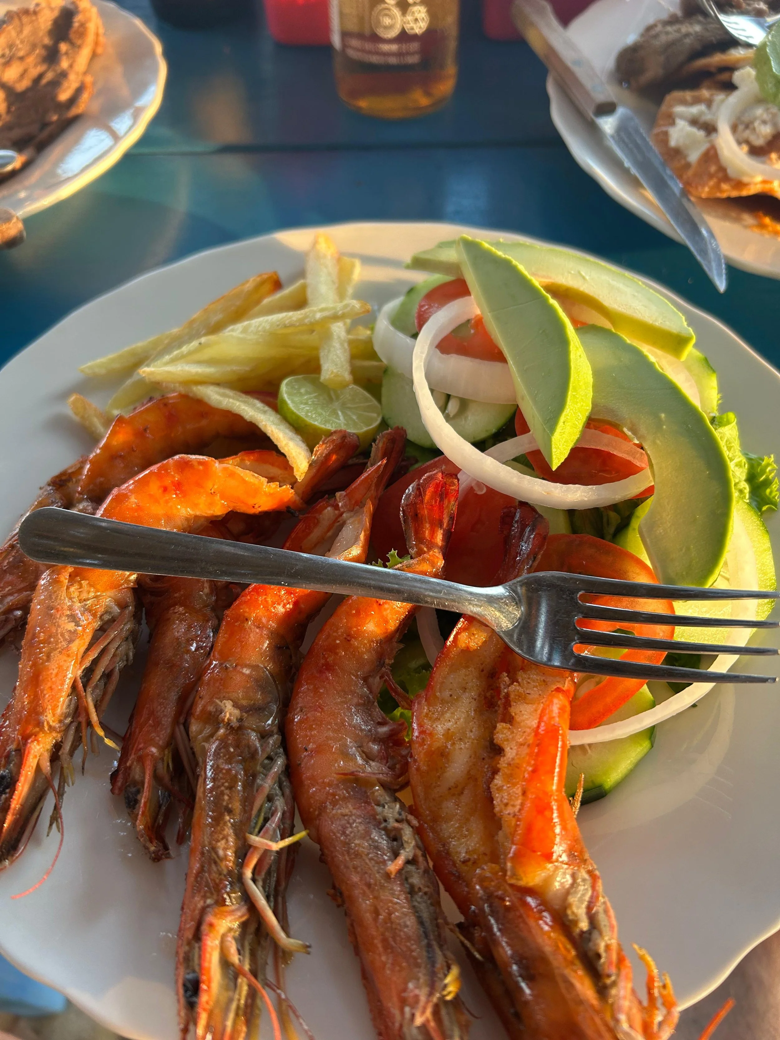 WhatsApp Image 2026-02-20 at 5.23.24 PM.jpeg