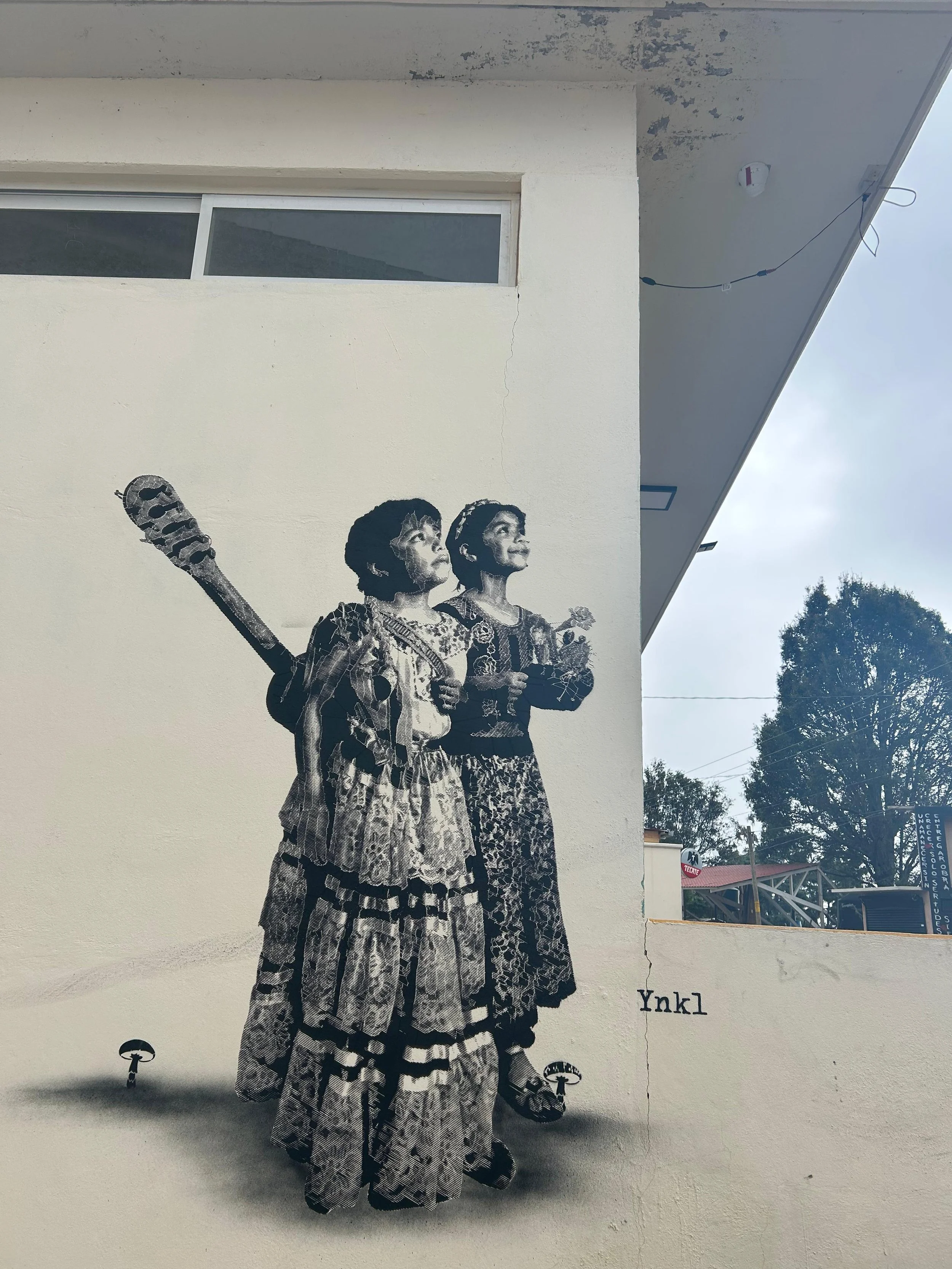 WhatsApp Image 2026-02-20 at 5.23.25 PM.jpeg