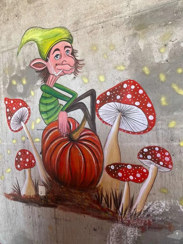 WhatsApp Image 2026-02-20 at 6.08.14 PM 2.jpeg