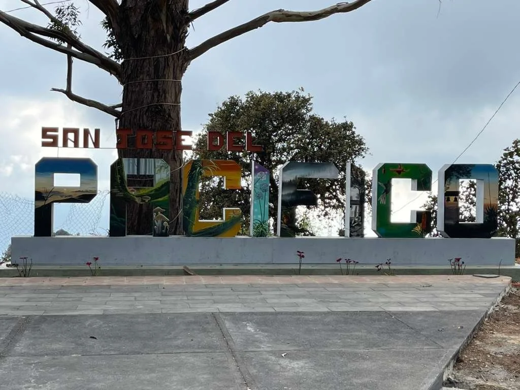 WhatsApp Image 2026-02-20 at 6.08.15 PM.jpeg