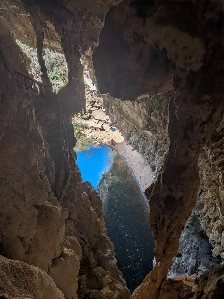 WhatsApp Image 2026-02-22 at 4.39.38 PM 1.jpeg