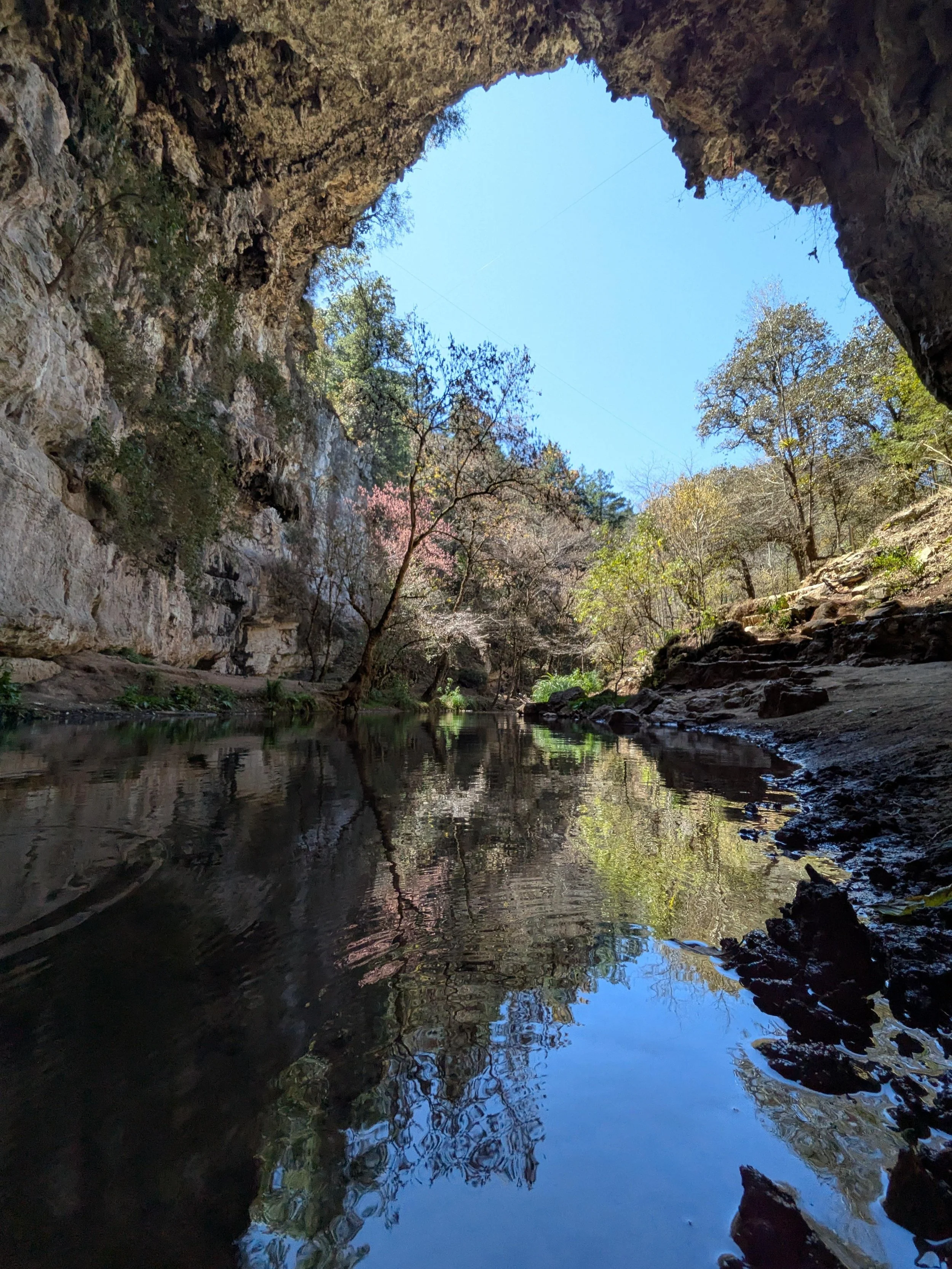 WhatsApp Image 2026-02-22 at 4.39.44 PM.jpeg