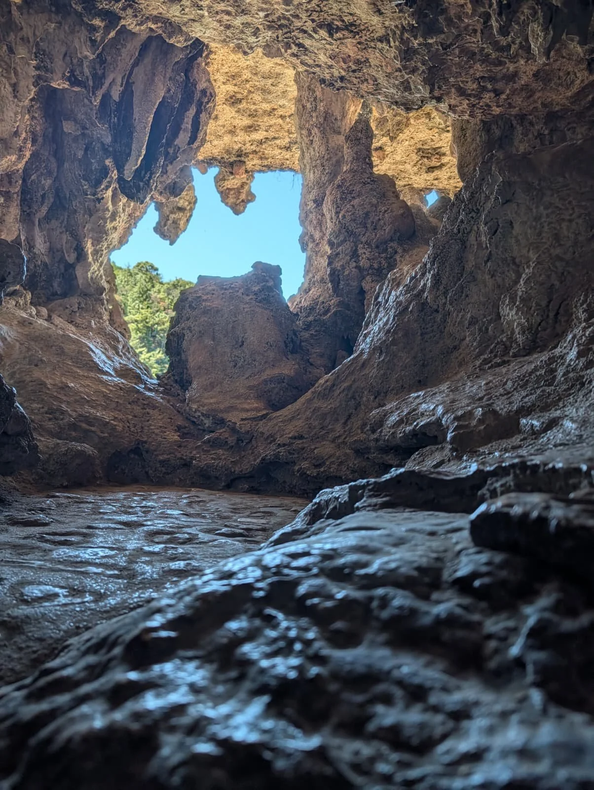 WhatsApp Image 2026-02-22 at 10.25.44 AM.jpeg