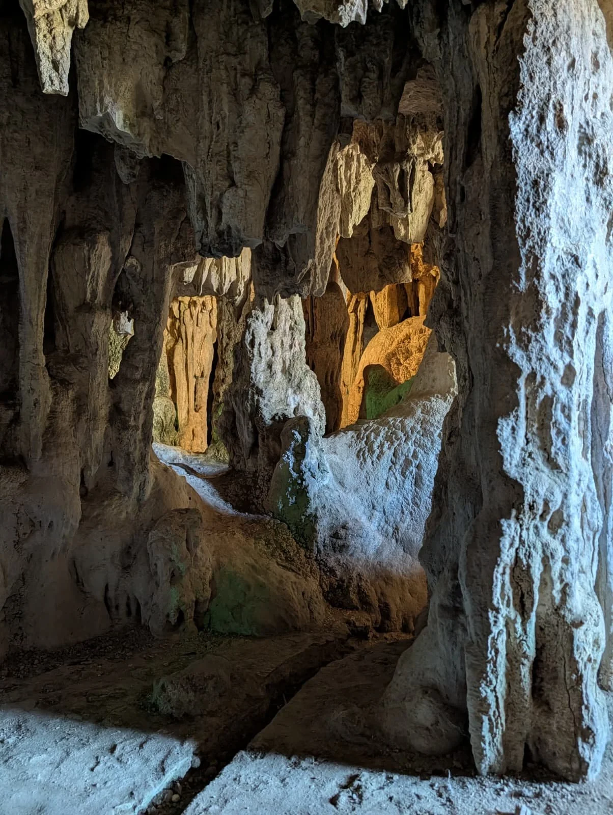 WhatsApp Image 2026-02-22 at 10.25.52 AM.jpeg