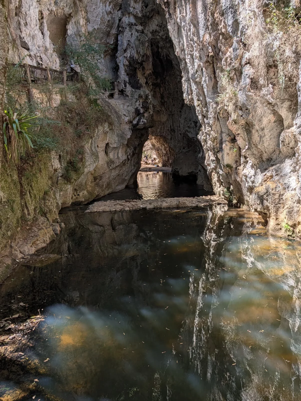 WhatsApp Image 2026-02-22 at 10.26.28 AM.jpeg