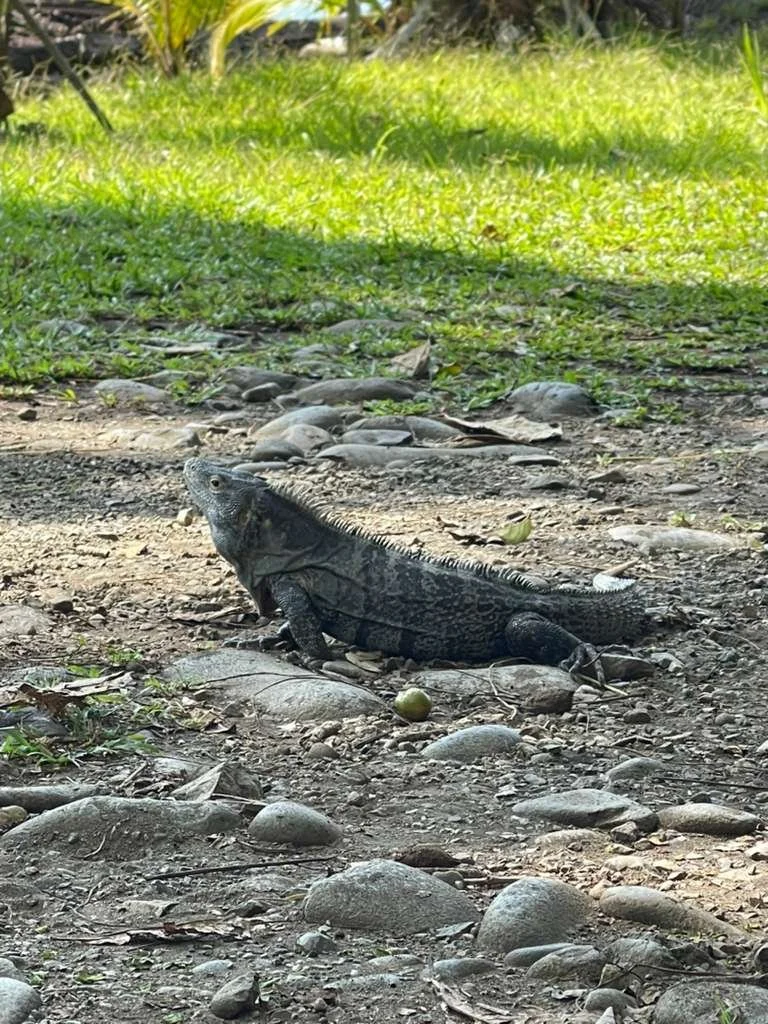 WhatsApp Image 2026-03-08 at 5.54.02 AM.jpeg