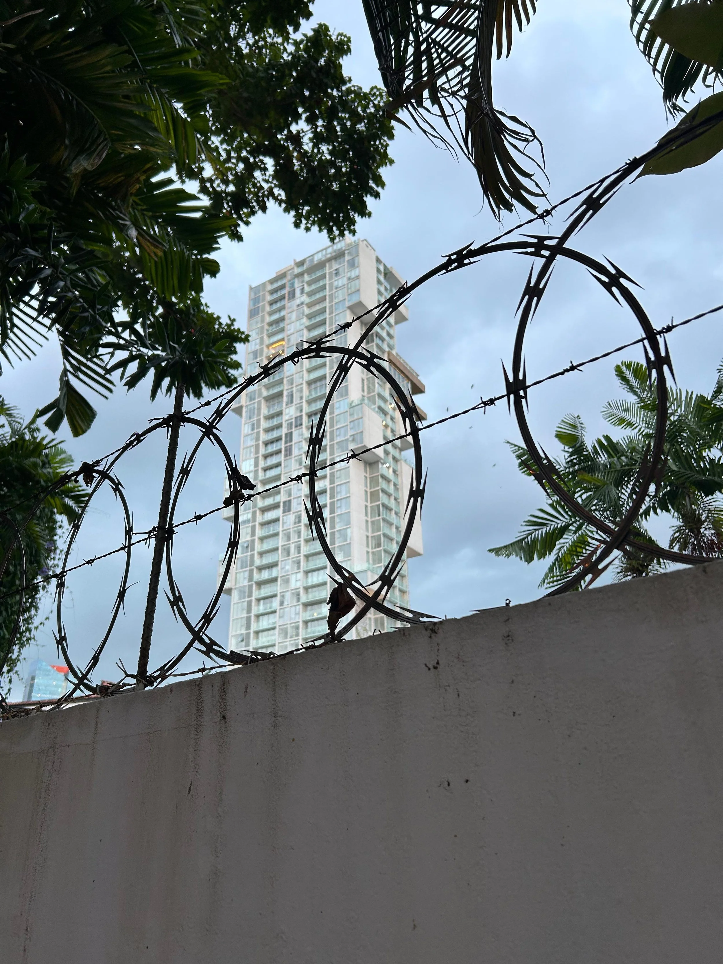 WhatsApp Image 2026-03-11 at 8.48.55 PM.jpeg