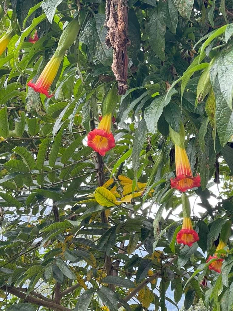 WhatsApp Image 2026-03-11 at 9.39.23 PM.jpeg