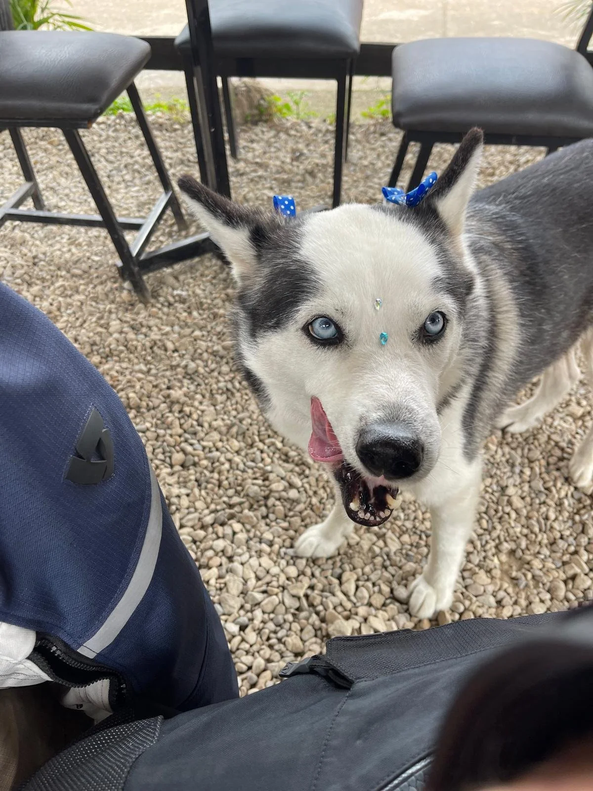 WhatsApp Image 2026-03-15 at 3.58.16 PM.jpeg