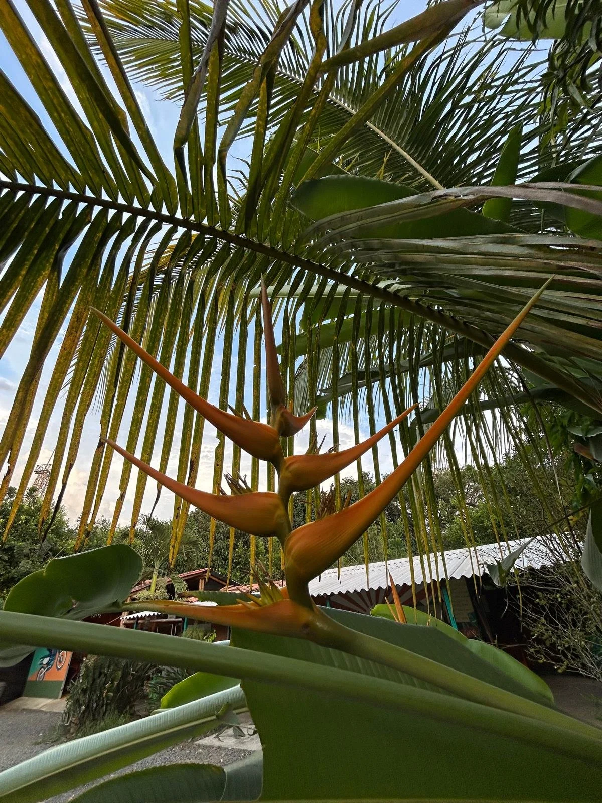 WhatsApp Image 2026-03-18 at 4.08.14 PM.jpeg