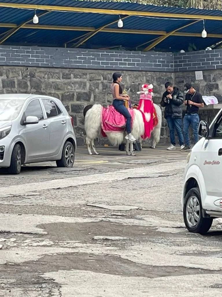 WhatsApp Image 2026-03-19 at 7.53.50 PM.jpeg