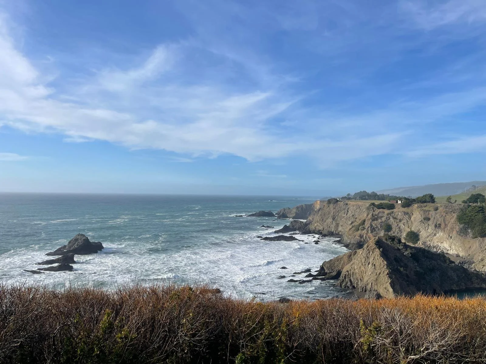 WhatsApp Image 2026-02-02 at 8.17.04 PM6.jpeg