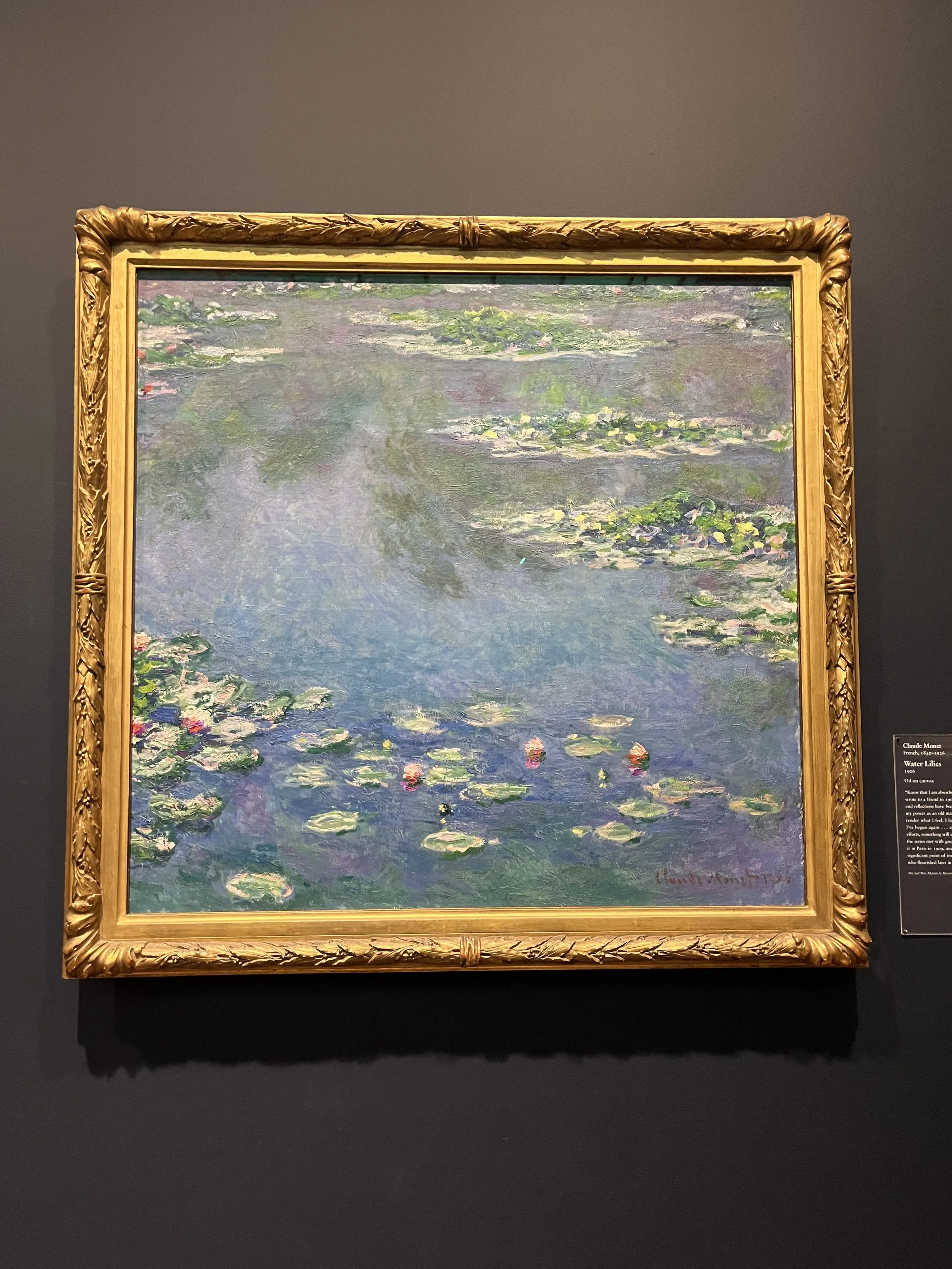 Visiting the Chicago Art Museum