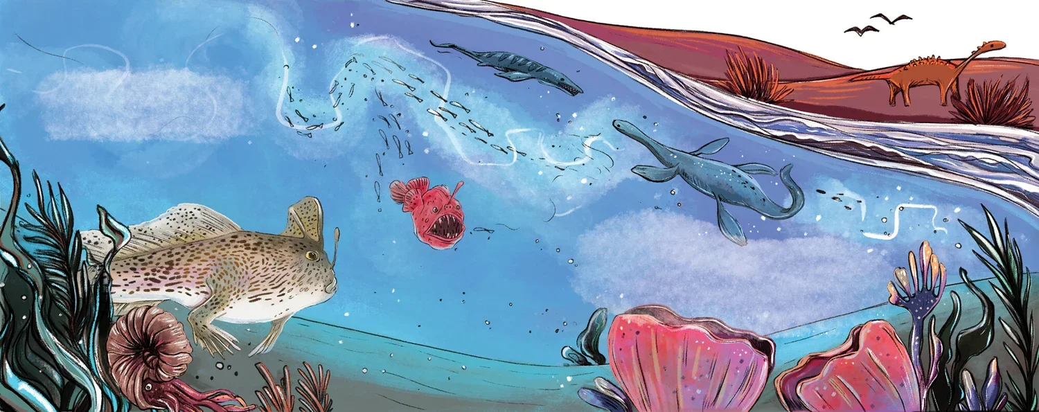 Hold on hand fish_Rachel tribout_01.webp