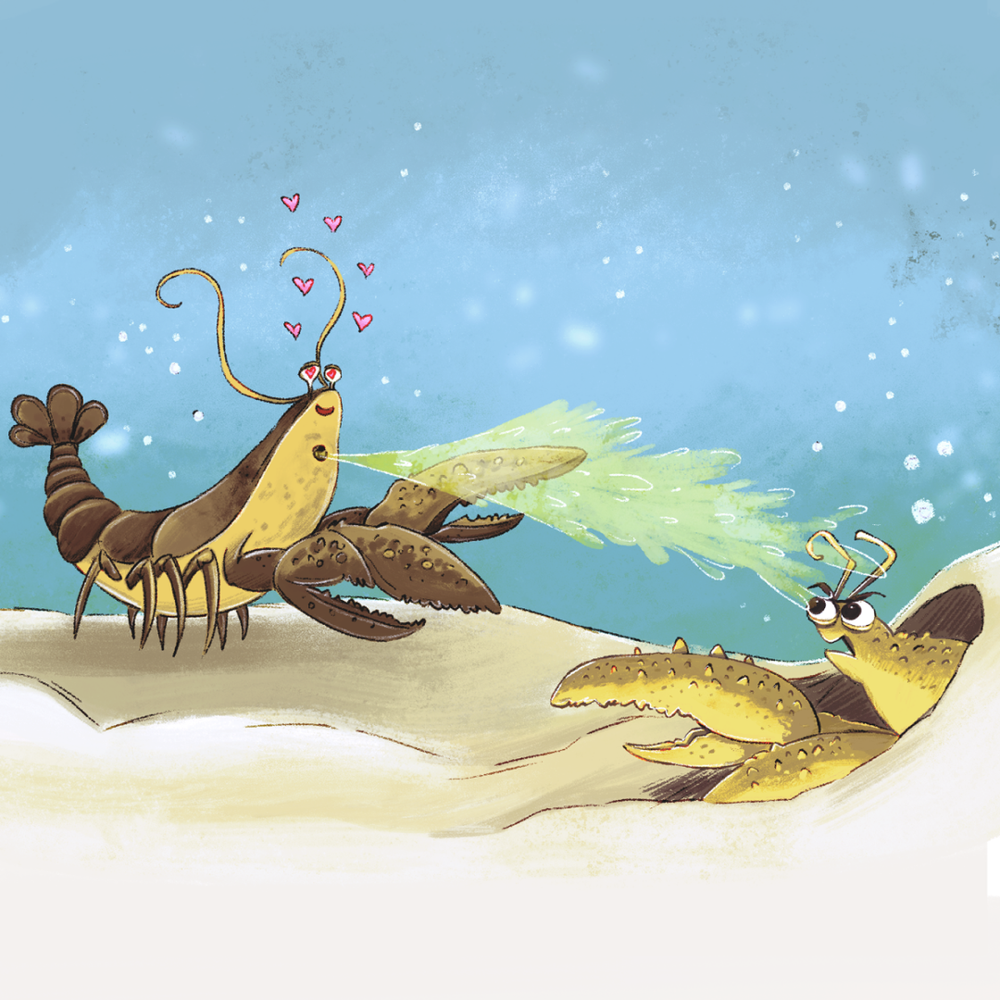 Poo spew gross things animals do_Rachel tribout_24.webp