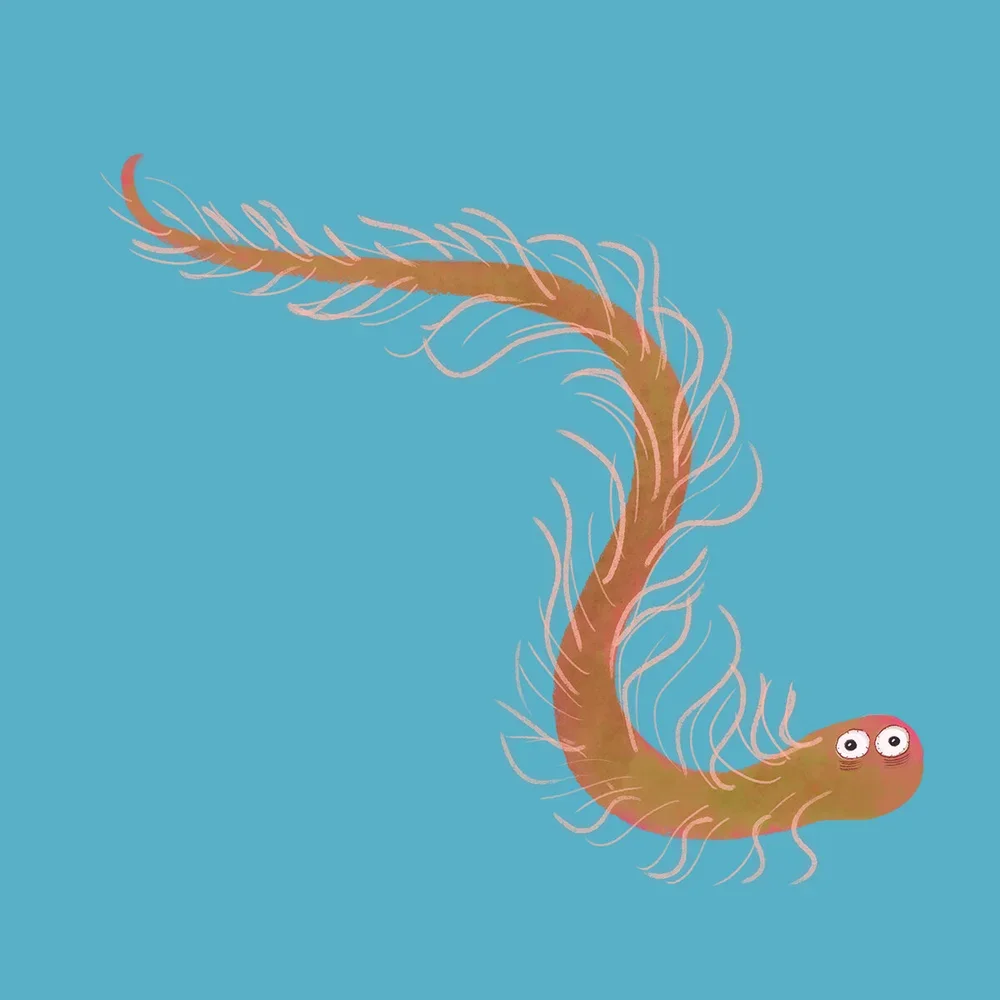 Amazed_Rachel tribout_16.webp