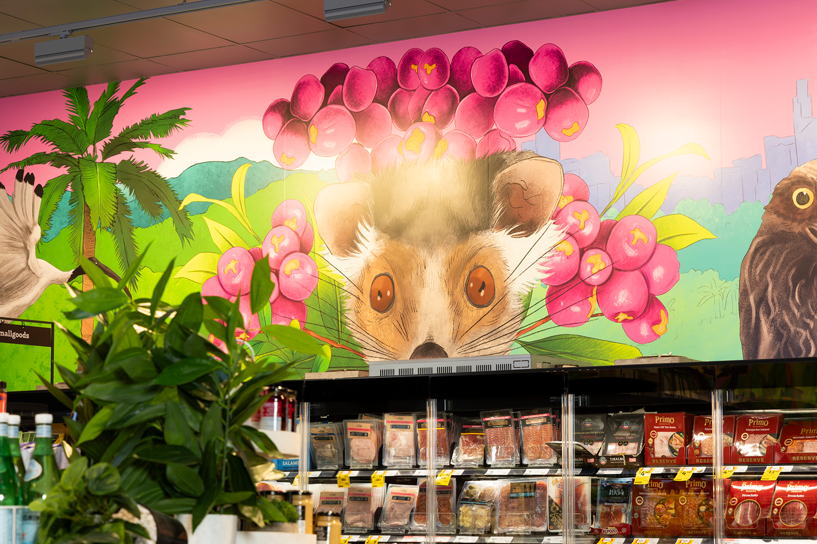 Coles-Local-Corinda_small.png