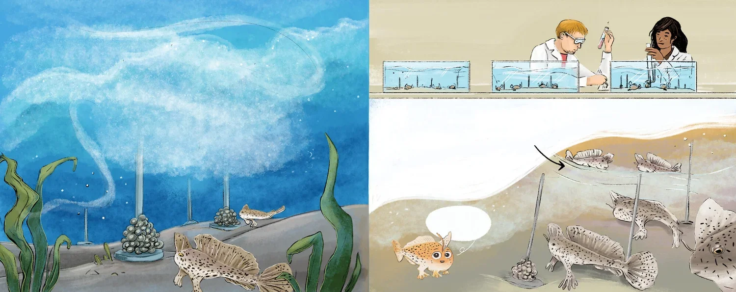 Hold on hand fish_Rachel tribout_05.webp