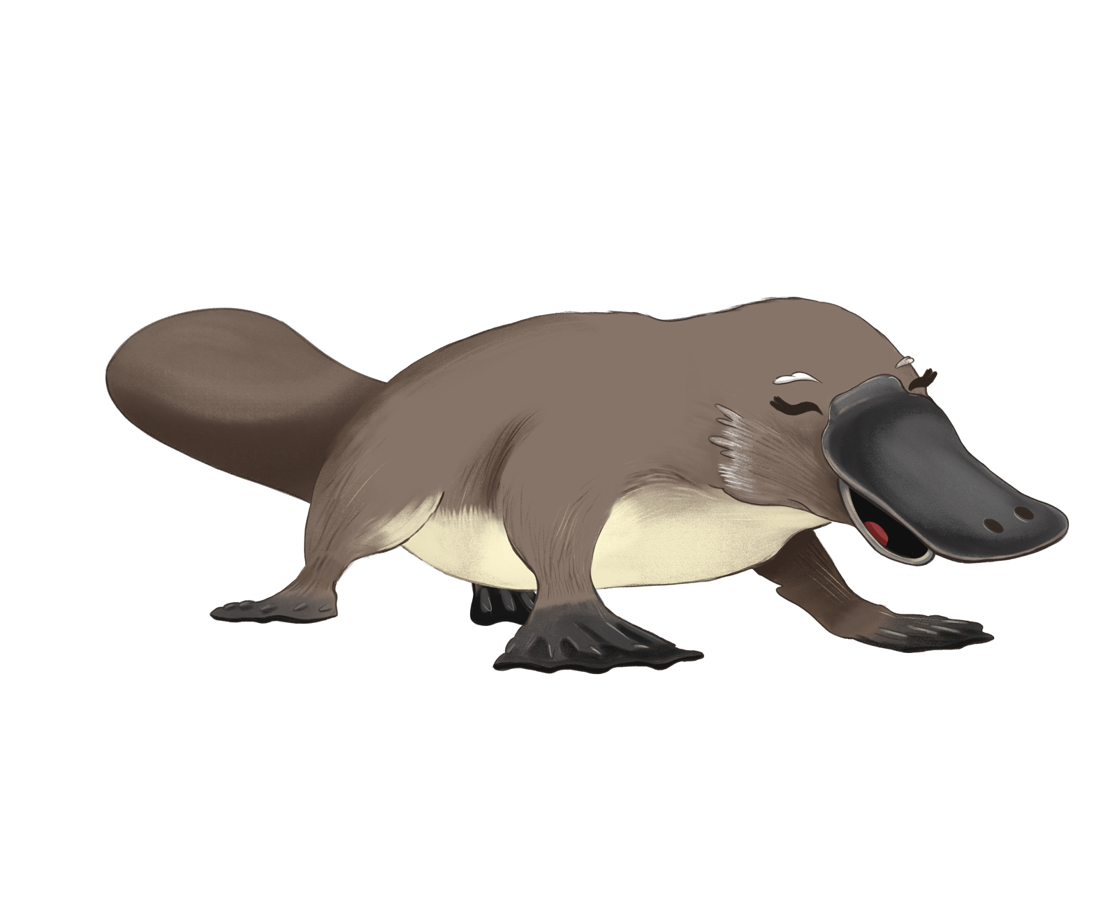 Aunt-platypus-flat.png