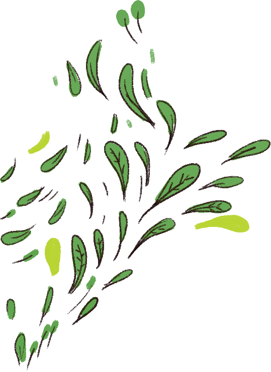 leaves.png