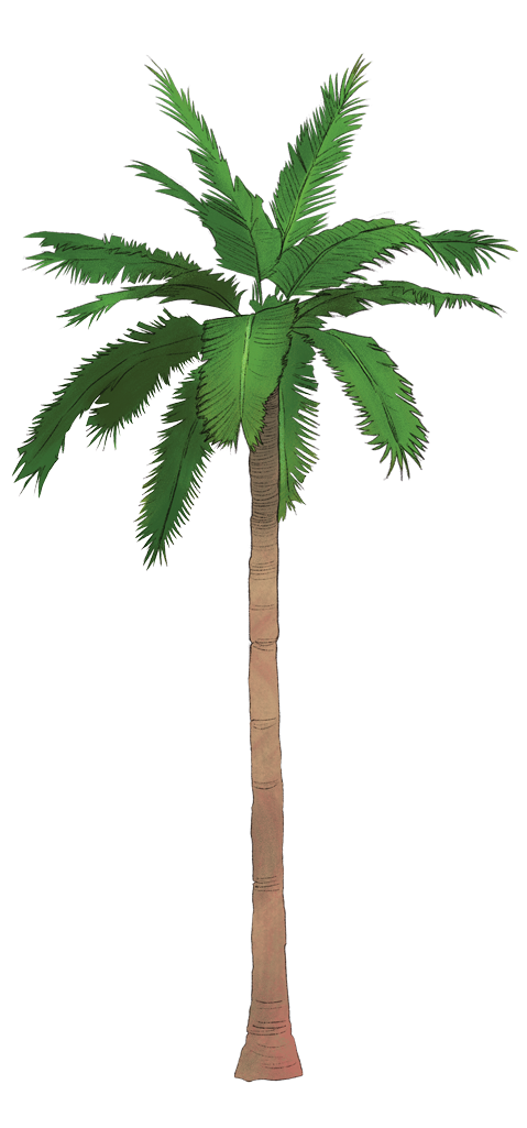 palm_tree.png