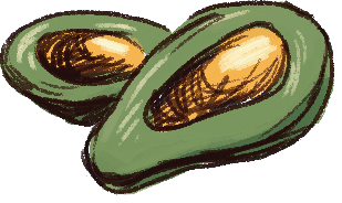 avocado.png