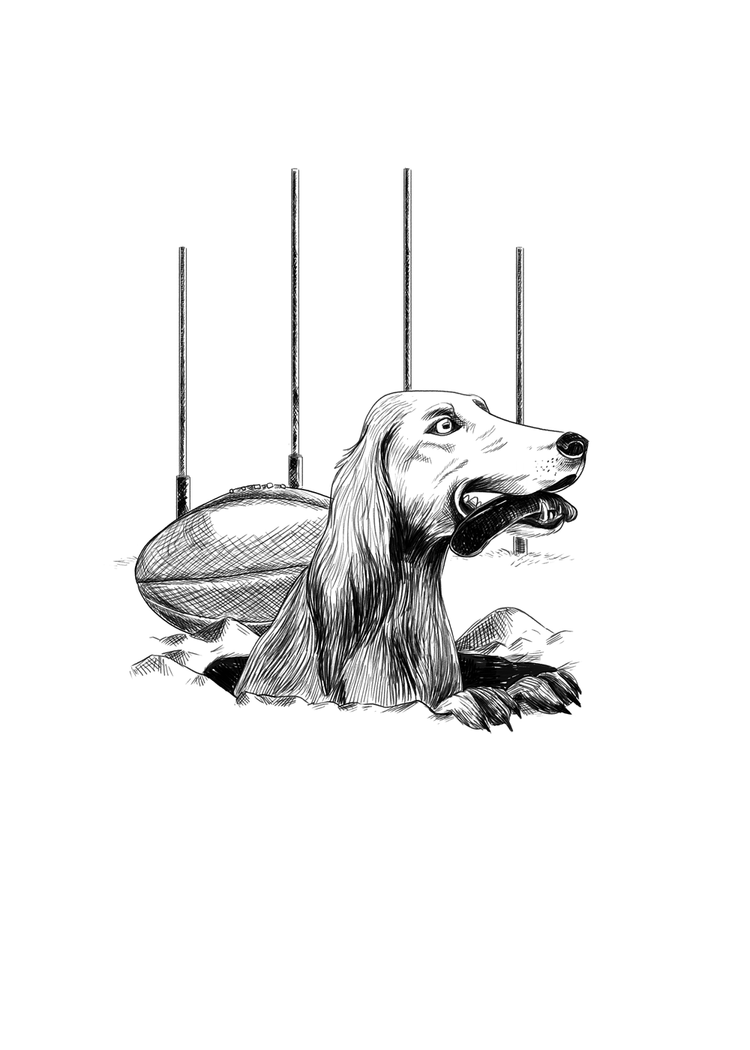 MACQ01_Saveloy-Dog.png_Rachel tribout_23.webp