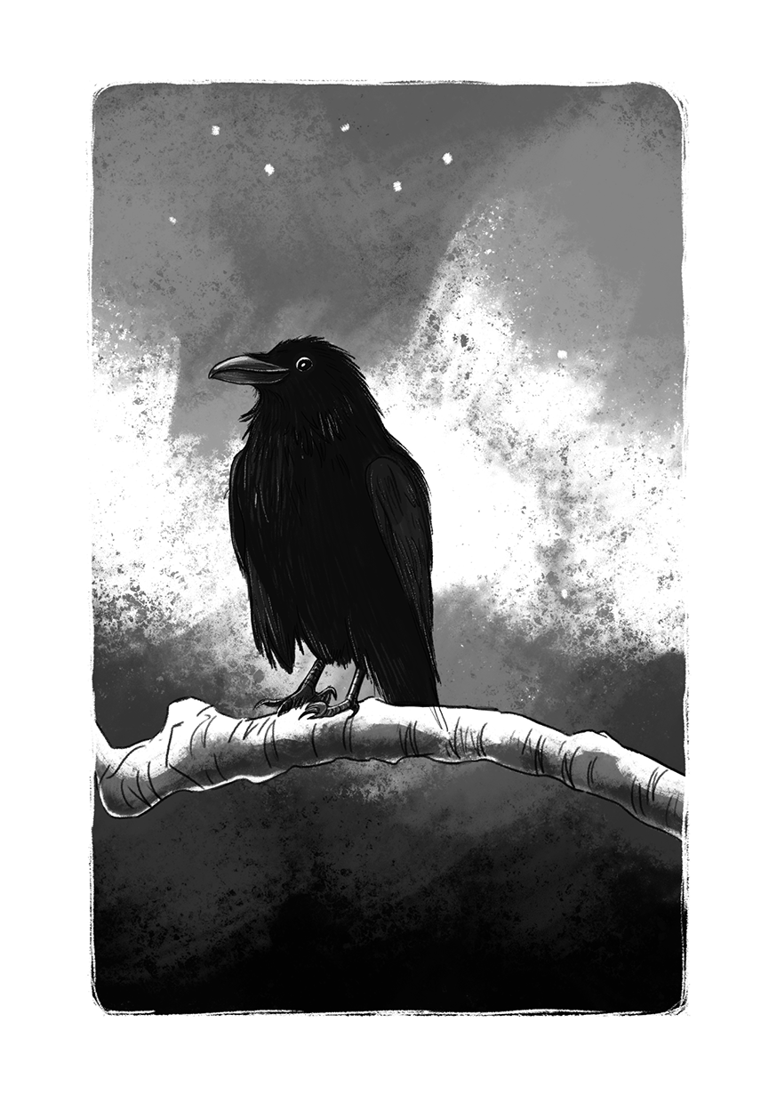 Heartsong of wonder quinn_Rachel tribout_10.webp