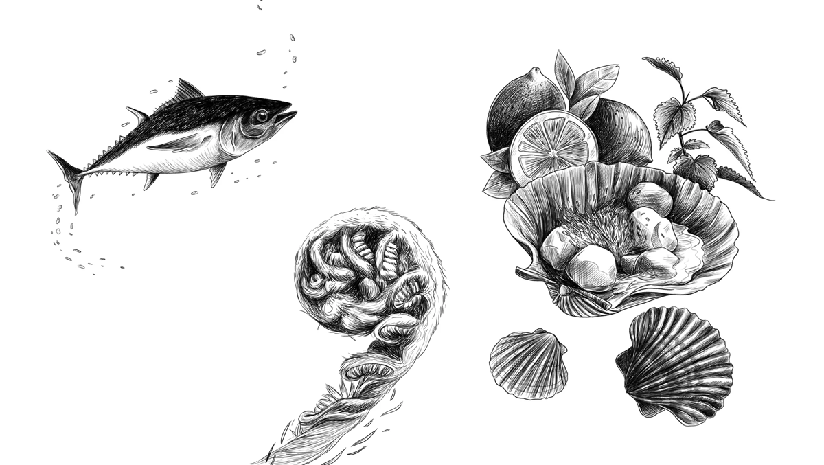 James Boag Illustrations