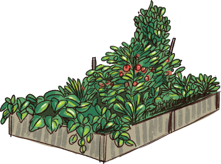 garden-bed.png