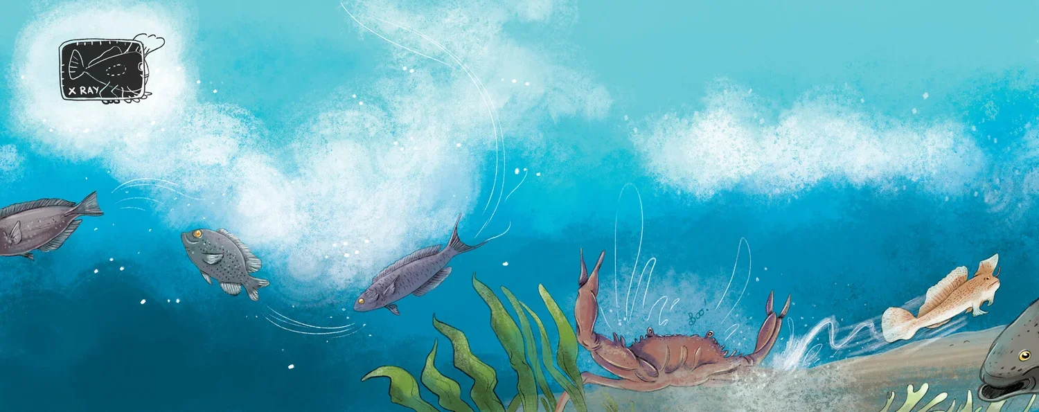 Hold on hand fish_Rachel tribout_02.webp