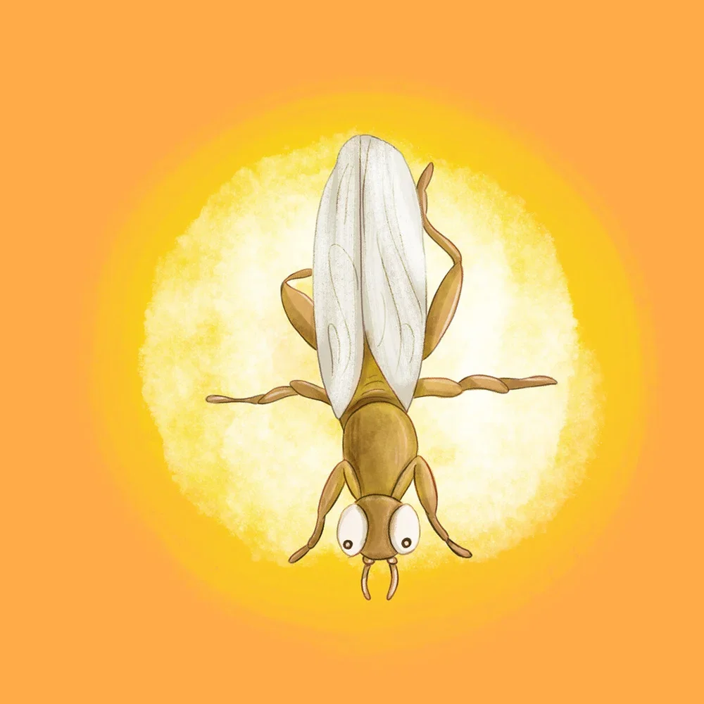 Amazed_Rachel tribout_14.webp