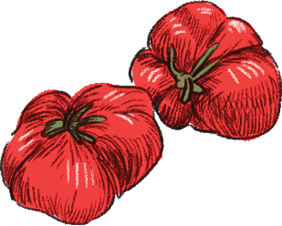 tomoato.png