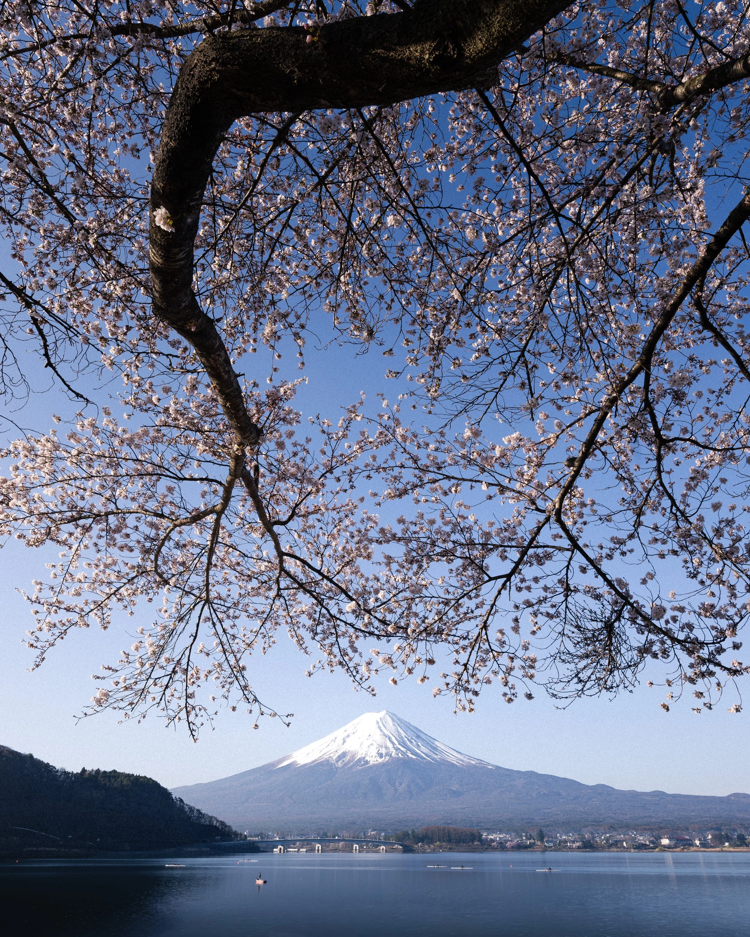 DSC03955-2.jpg