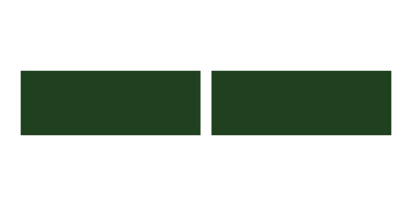 Two dark green rectangles with black border, separated by a thin black line, on a black background.