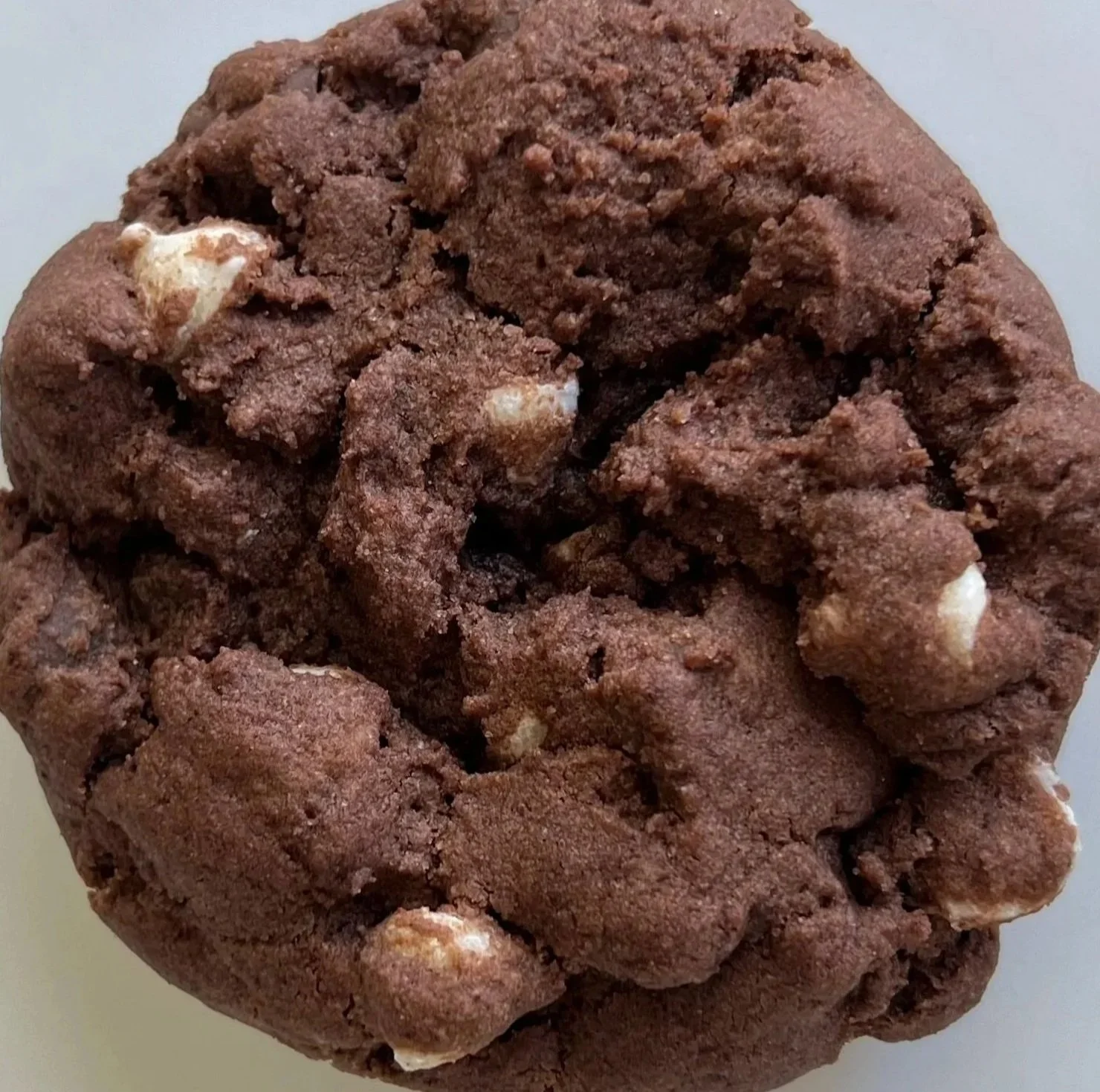 Close-up of a chocolate cookie with white chocolate chunks.