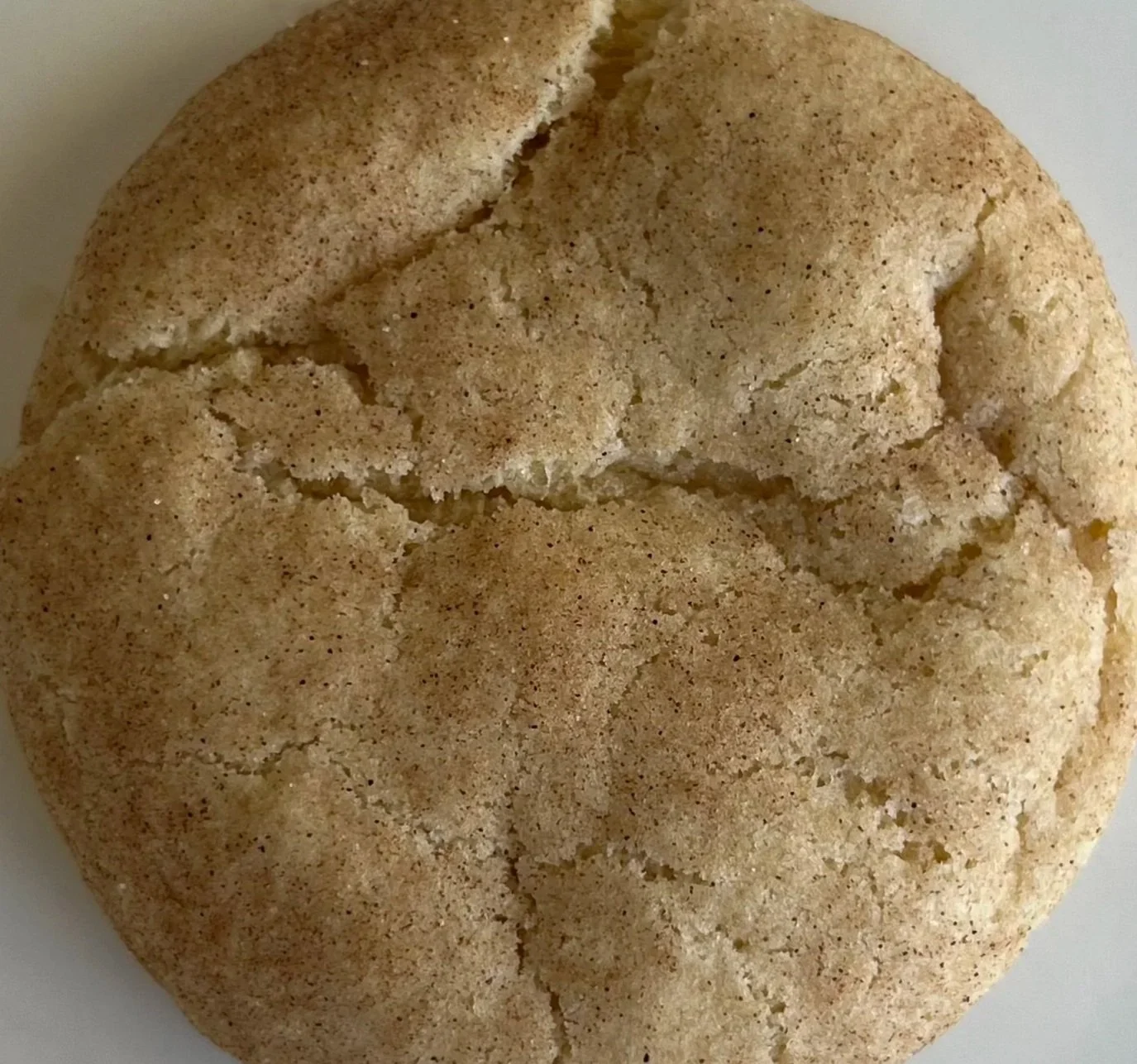 Close-up of a cracked sugar cookie on a white plate.