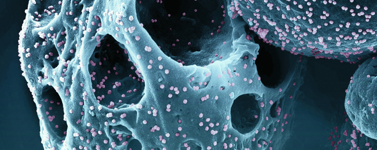 Fat Cell Reduction