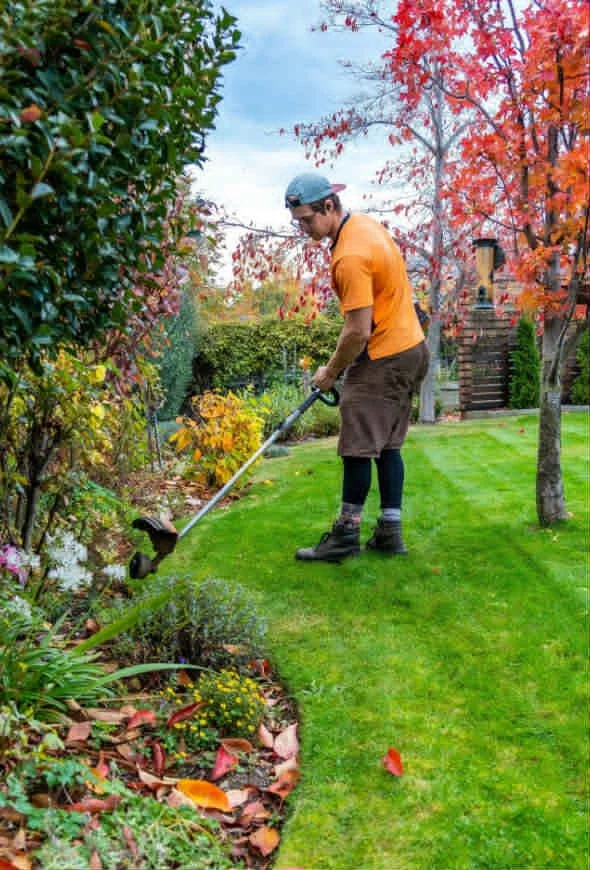Rent Inspection Garden Clean