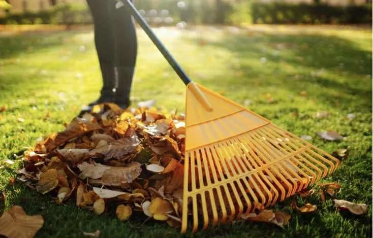 General Garden Clean-Up (3-Hour Service)