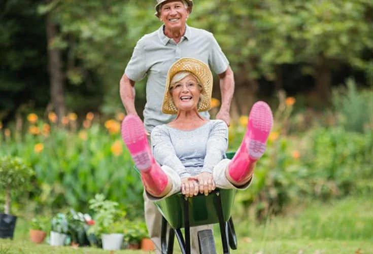 Gardening Services (NDIS Compliant)