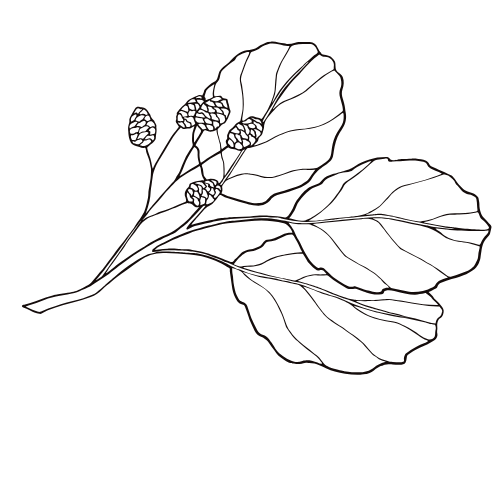 pregnancy loss support in hong kong