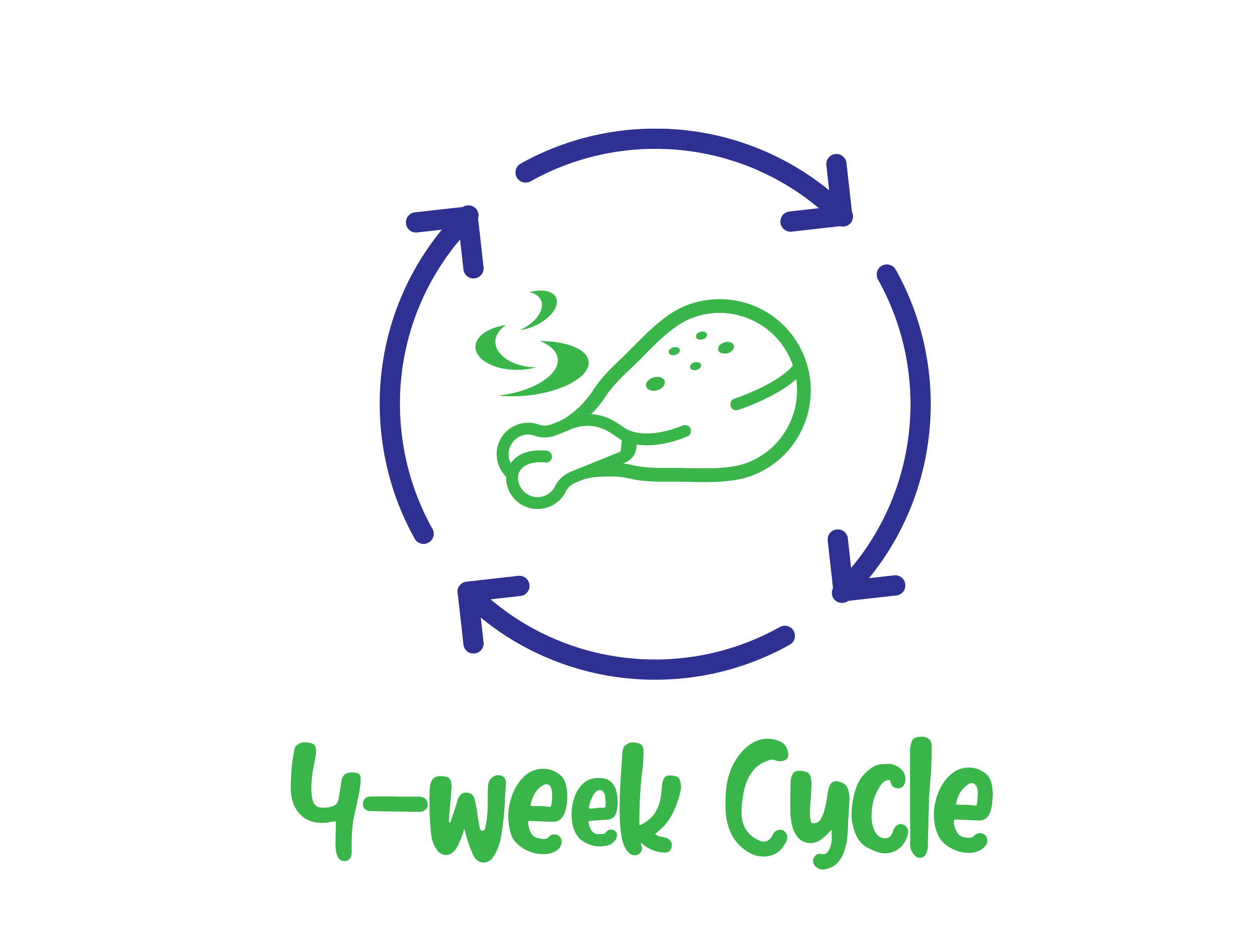 A logo with a green leaf and a recycling symbol inside it, surrounded by blue arrows, with the text 'Y-Weekly Cycle' below in green.