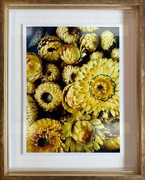 Honey-I'm-home-44x55 web.jpg