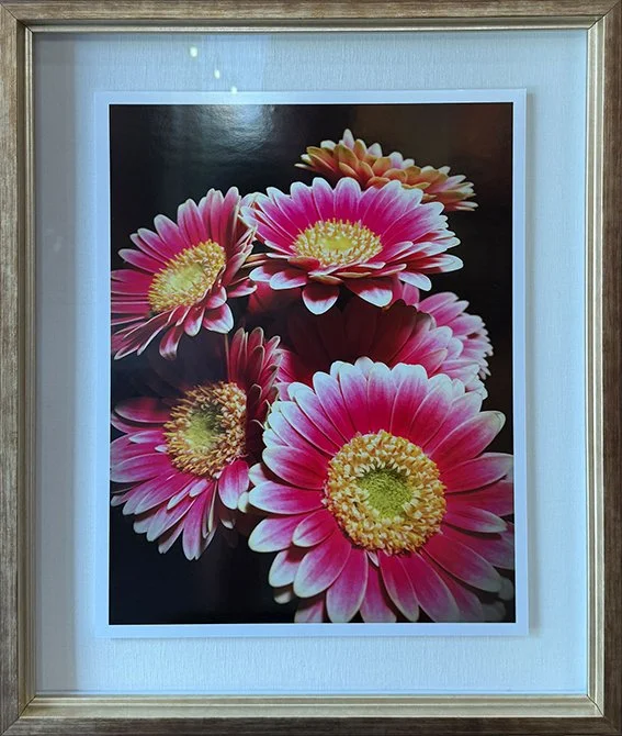 A-delightful-bunch web.jpg