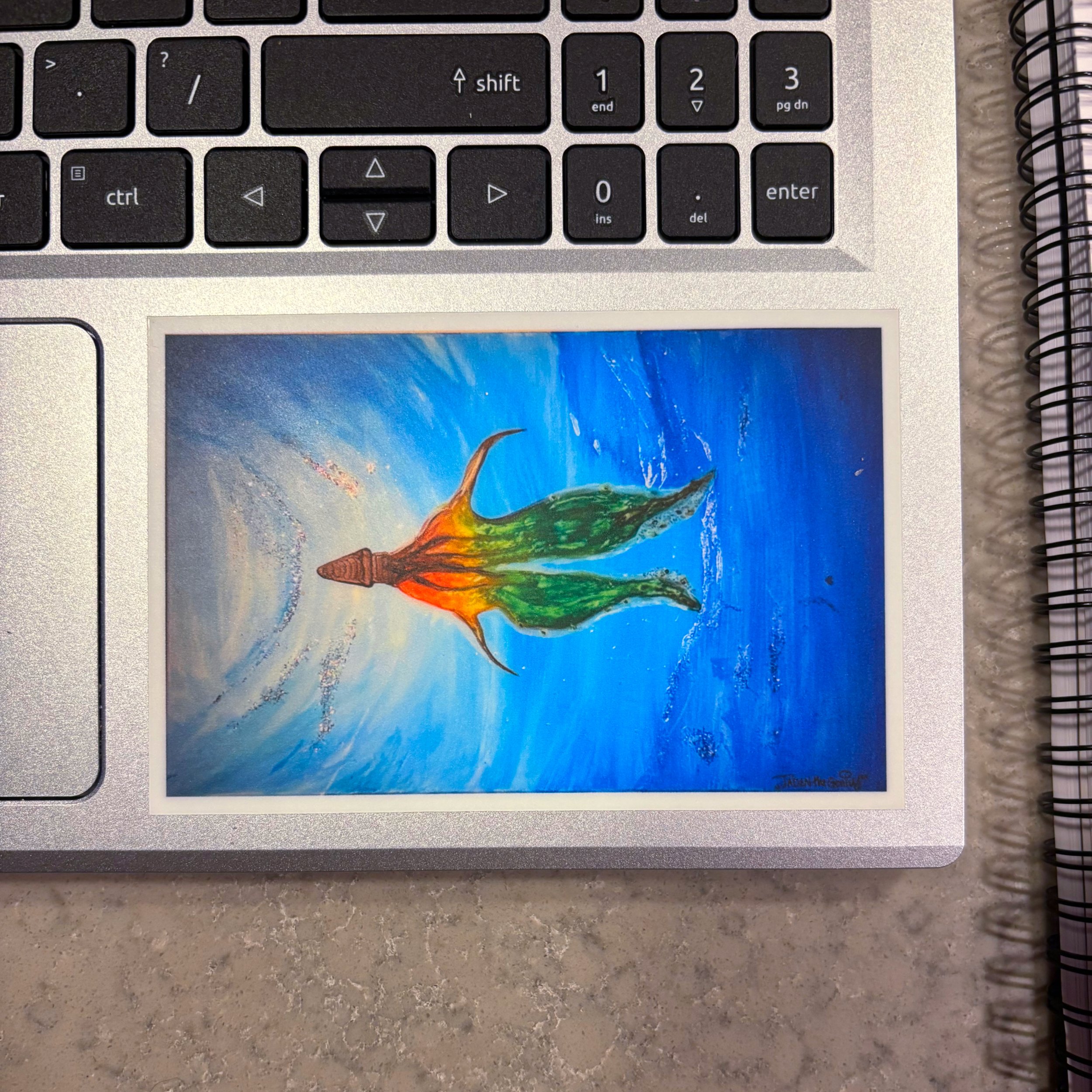 BLANKET OCTOPUS (female) ND.jpg