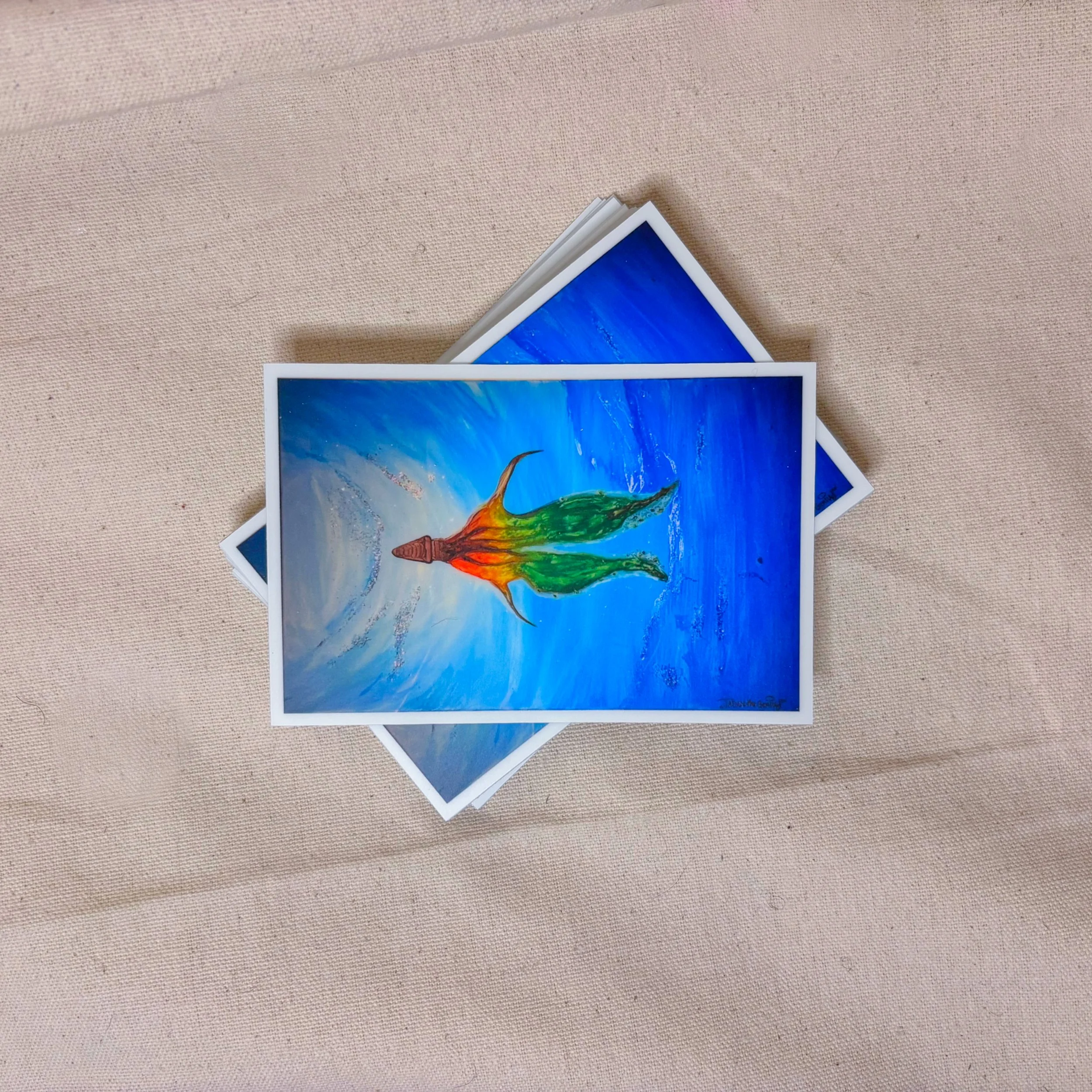 BLANKET OCTOPUS (female) 2ND SHOT.jpg