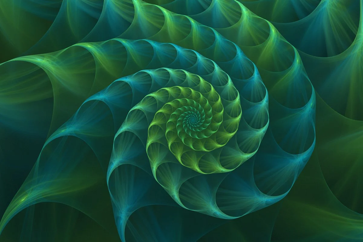 Sacred Geometry Nautilus Shell Universe Fibonacci Sequence