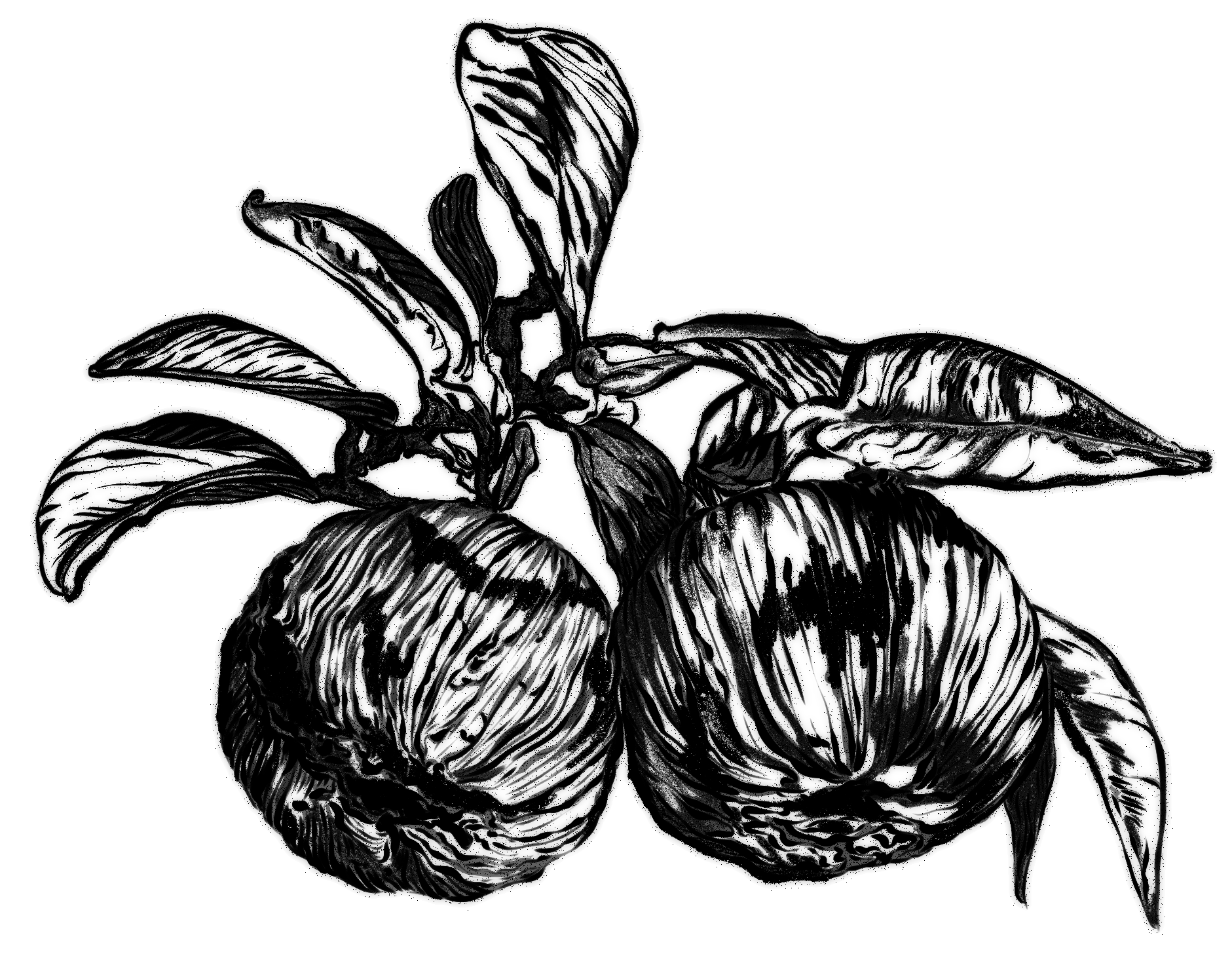 Co-designed Commission