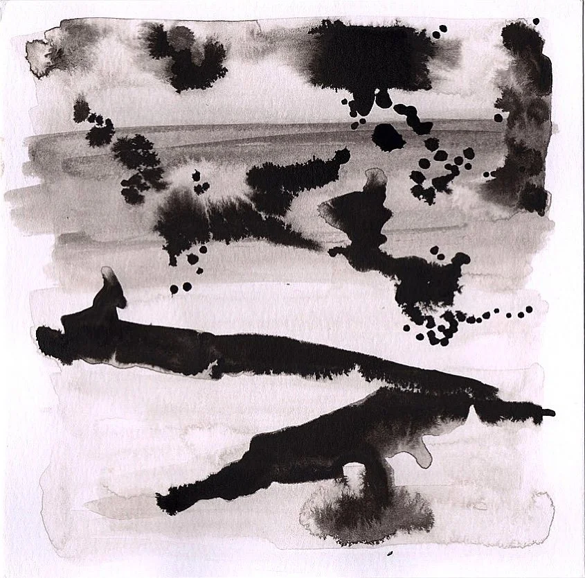 Donkey on the Beach with Fireworks